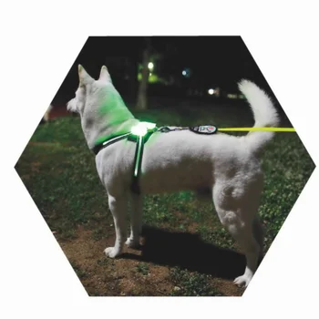 CC Simon Dogled varnost pes ovratnik led pes pas Kuža Vodi hišne Ljubljenčke Telovnik 2021